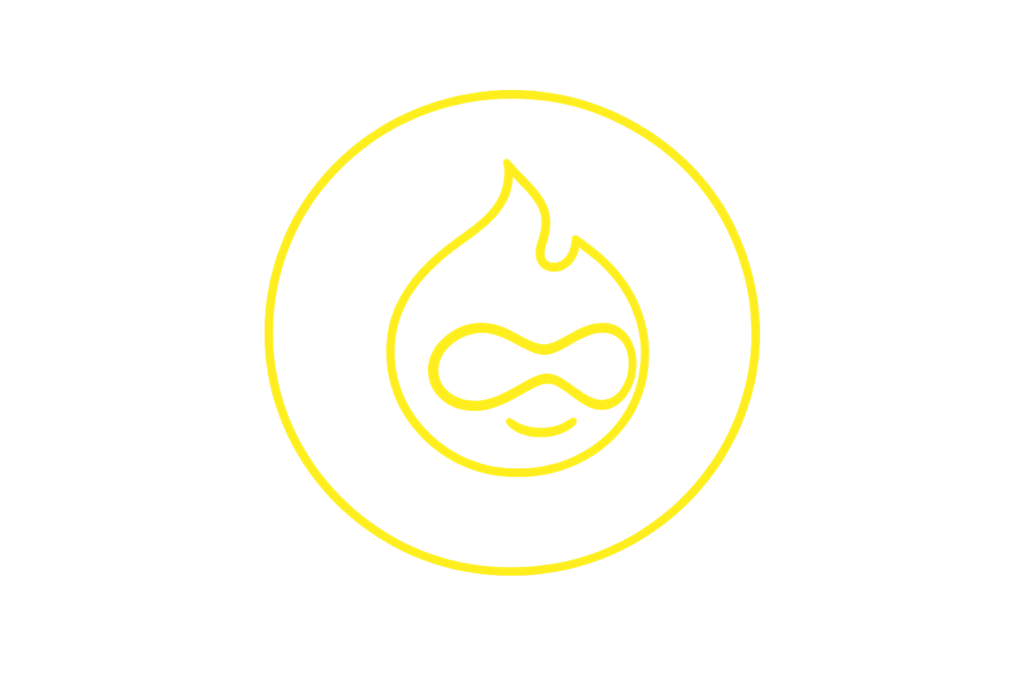 Drupal developer building secure enterprise content management systems.